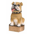 Bobble Head - Brown Bulldog